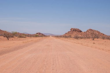 Kuru dağ manzarasını kesen sarmal bir patika, ağaçlarla benekli. Bu uzak vahşi doğa Namibya 'nın saf güzelliğinin gerçek bir kanıtıdır.