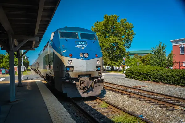 Virginia, ABD 'deki Mamassas tren istasyonunda tren., 