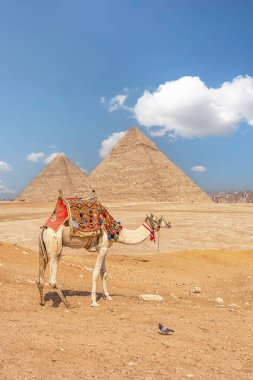 Mısır 'daki Giza Piramitleri