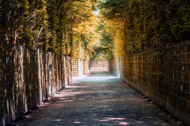 Fransa, Versailles Sarayı 'na park et.