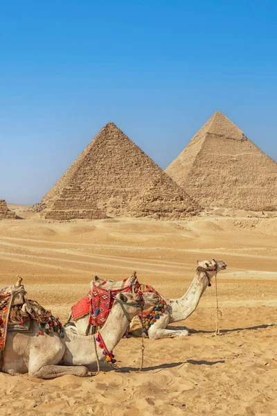 エジプトのジザのピラミッドは — ストック写真