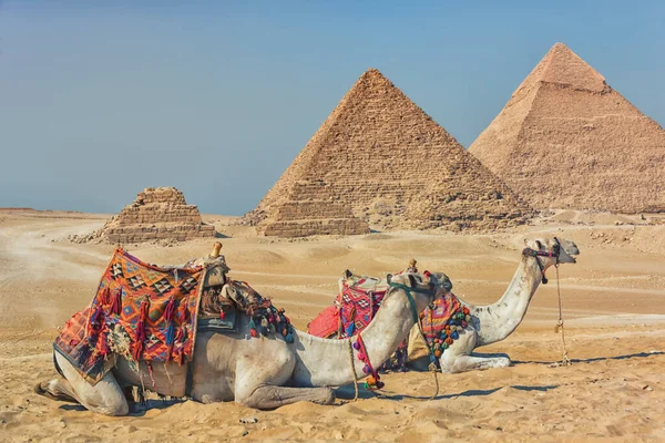 Pyramids Giza Egypt — Stock Photo, Image