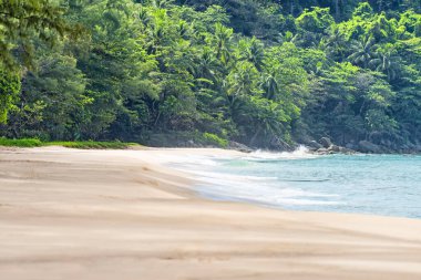 Phuket, Tayland 'da Güzel Plaj