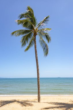  Pattaya, Tayland 'daki Jomtien Sahili