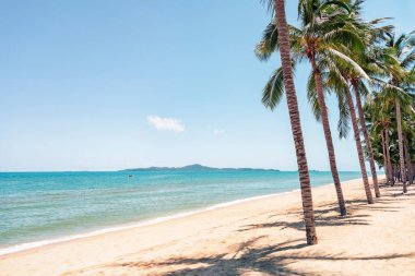  Pattaya, Tayland 'daki Jomtien Sahili