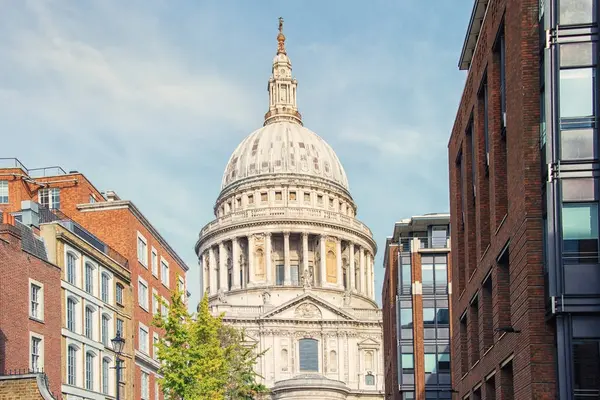 Katedra Pawła Oglądana Londynu Obraz Stockowy