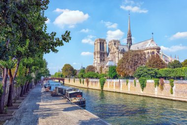 Paris 'teki Notre-Dame Katedrali.