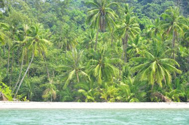 Tayland 'daki güzel Koh Kood Adası