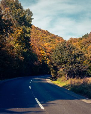 Macaristan, Pecs yakınlarındaki Mecsek ormanlarında sonbahar manzarası