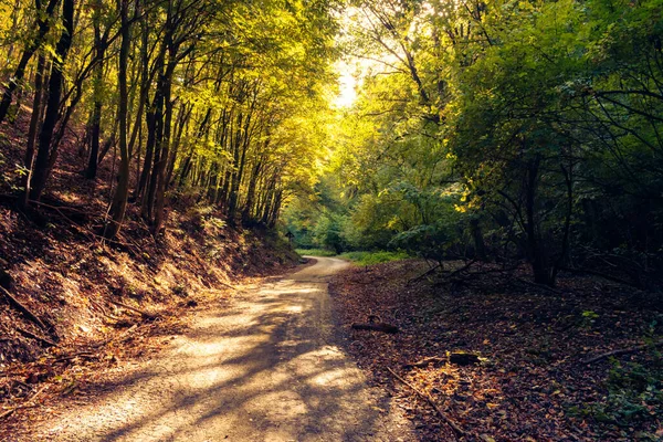 Νωρίς Φθινόπωρο Τοπίο Στα Δάση Mecsek Κοντά Στο Pecs Ουγγαρία — Φωτογραφία Αρχείου