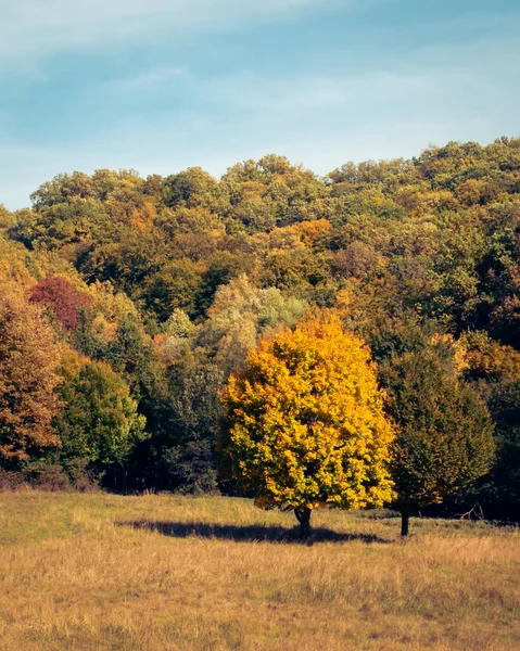 Počátkem Podzimu Krajina Lesích Mecsek Pecs Maďarsko — Stock fotografie