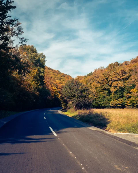 stock image Early fall scenery in the Mecsek woodlands near Pecs, Hungary