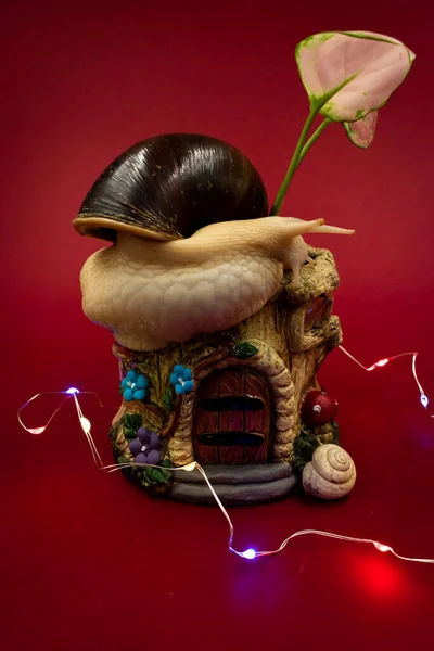 Large achatina snail pet with a potted plant and colorful fairy lights, red background with copy space