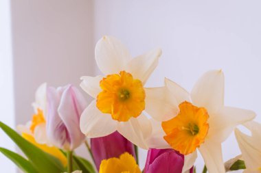 Bahar çiçekleri kapalı, mevsimlik dekorasyon