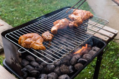 Yazın barbekü partisi, lezzetli et ızgarası, yemek konsepti.