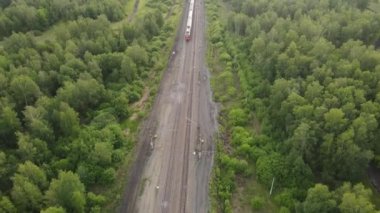 Bir yolcu treni ormanda demiryolu ile seyahat eder. Bir banliyö treni istasyona gidiyor. Tren yolculuğu. Demiryolu ile seyahat et. Hareket eden bir trenin üst görünümü.