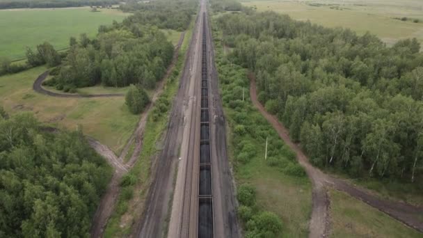 Pociąg Pełen Węgla Eksport Węgla Pociąg Towarowy Podróżuje Koleją Ciężki — Wideo stockowe