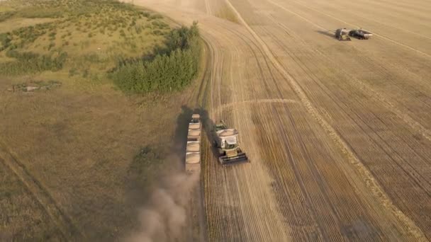 Náklaďák Nese Sklizené Obilí Pole Sklizňové Stroje Pracující Pšeničném Poli — Stock video