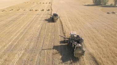 Buğday tarlasında çalışan hasat makineleri. Tarım makinesini birleştirerek altın olgun buğday tarlası hasat ediyoruz. Tarım, zengin hasat. Yemek krizi. Teknolojinin tarlalardaki işi. Tahıl, kulaklar.