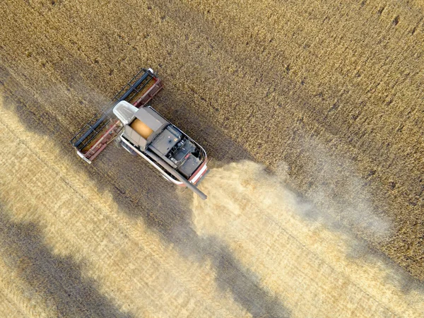 小麦田里的收割机 丰硕的收成 粮食危机 技术在各个领域的工作 组合农业机械收获金熟小麦田 — 图库照片