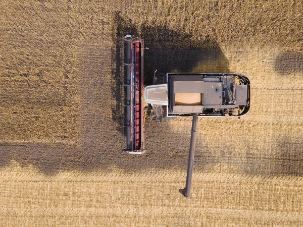 Харвестерний Апарат Працює Пшеничному Полі Сільське Господарство Багатий Урожай Харчова — стокове фото