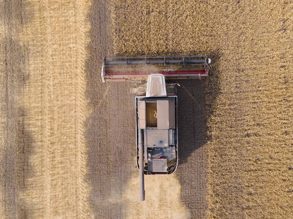 Sklizňový Stroj Pracující Pšeničném Poli Zemědělství Bohatá Úroda Potravinová Krize — Stock fotografie