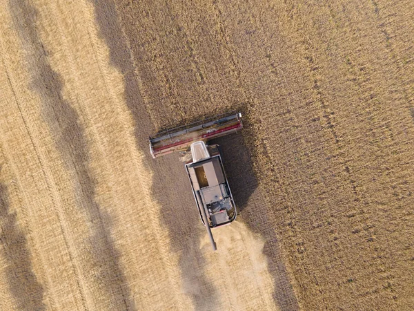 Machine Moissonneuse Travaillant Dans Champ Blé Agriculture Récolte Abondante Crise — Photo