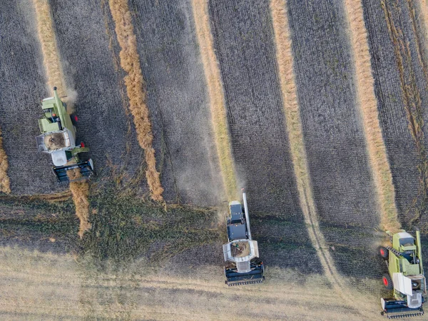 Харвестерні Машини Працюють Пшеничному Полі Єднайте Сільськогосподарську Машину Збираючи Золотисте — стокове фото