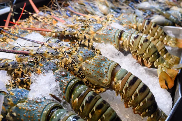 Fresh Lobsters Ice Sale — Stock Photo, Image