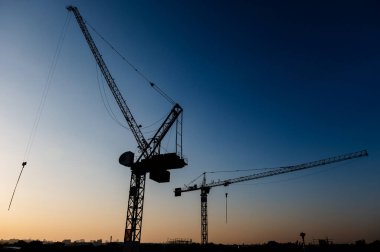 Gün batımında gökyüzünde iki turna silueti