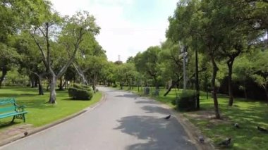 Yazın ağaçlarla çevrili kamu parkı arasında 4K Yürüyüşü