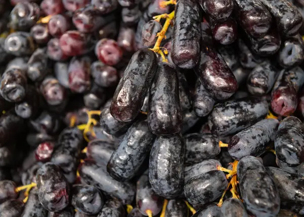 Taze, çekirdeksiz ay üzümü düşürür.
