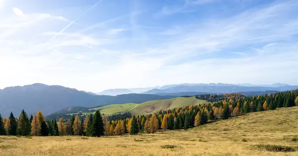 stock image View from Cima Mandriolo Larici Altopiano di Asiago