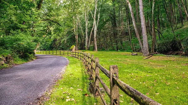 Solebury, Pennsylvania 'da Cuttalossa Yolu boyunca bir çit var..