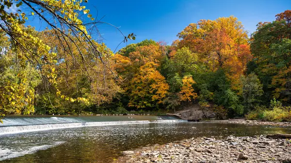 Pennsylvania, Newtown 'daki Tyler State Park' ta Neshaminy Gölü yakınlarındaki sonbahar yeşilliği..