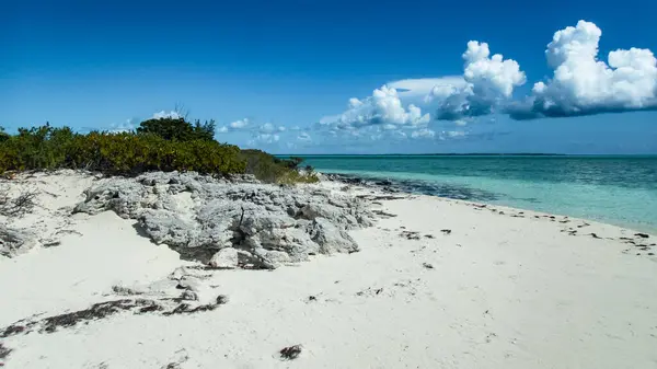 Schooner koylarından biri Eleuthera Burnu yakınlarında..