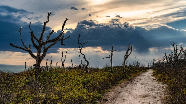 Massachusetts 'teki Chappaquiddick Adası' ndaki Wasque Point 'teki Balıkçı Patikası..