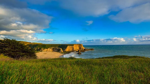Davenport, California 'da Davenport Kayalıkları' ndan Pasifik Okyanusu manzarası.