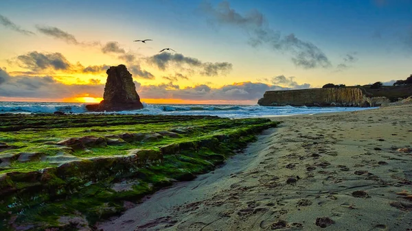 Davenport, California sahilinde gün batımı.