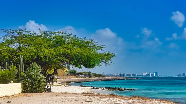 Mezarlık Plajı, Büyük Cayman Adası 'ndaki Seven Mile Sahili' nin uzak ucunda..