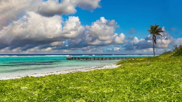 Little Cayman, Cayman Adaları 'ndaki Guy Banks Yolu' nda küçük bir rıhtım..