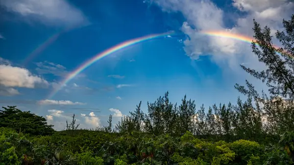Valilik Limanı, Eleuthera, Bahamalar 'da Levy Konservesi üzerinde bir gökkuşağı.