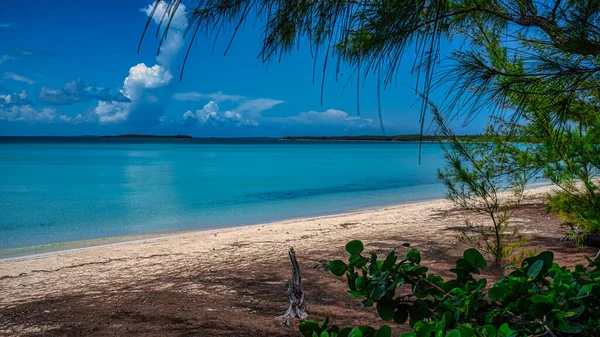 Merkez Eleuthera, Bahamalar 'daki Alıcılar Plajı.