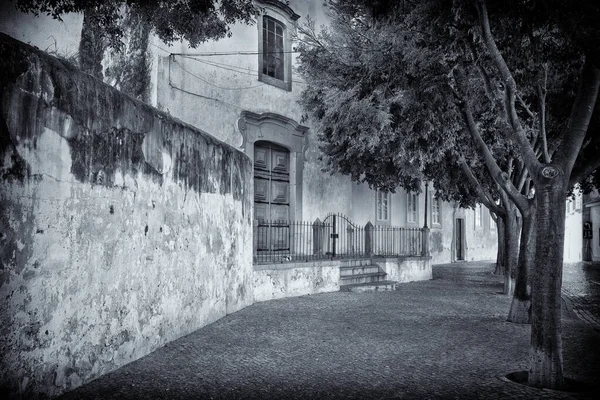 Tavira, Portekiz 'de bir sokak..