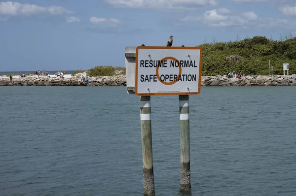 Venice Florida 'daki Roberts Körfezi' ne giden kanalın tepesinde bir sahil kuşu var..