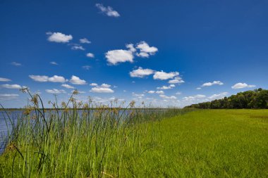 Yukarı Myakka Gölü Saklı Nehir, Florida