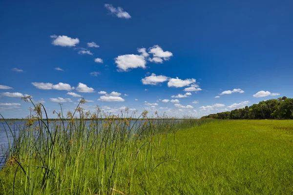 Yukarı Myakka Gölü Saklı Nehir, Florida