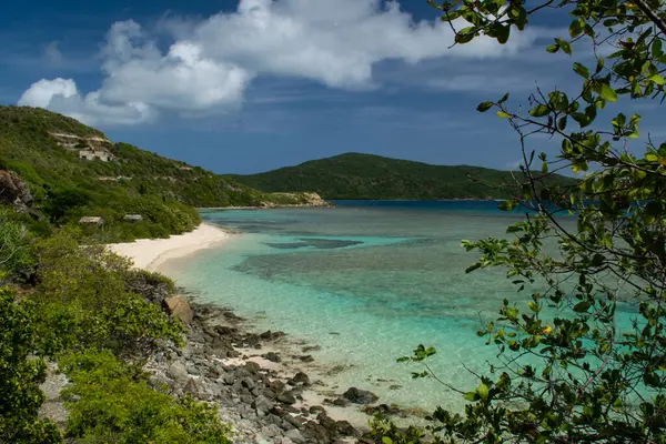 Britanya Virjin Adaları 'ndaki Scrub Adası' ndaki Kuzey Sahili.