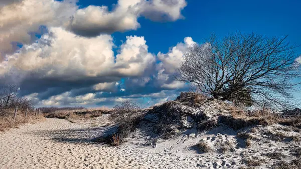 Highlands, New Jersey 'deki Gateway Ulusal Rekreasyon Bölgesi' nde Kuzey Sahili 'ne giden bir yol..