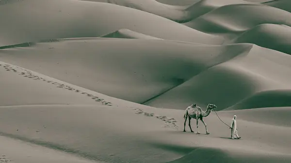 Bedevi bir adam ve deve Birleşik Arap Emirlikleri 'ndeki Liwa Çölü' ndeki Boş Bölge 'yi geçiyor..